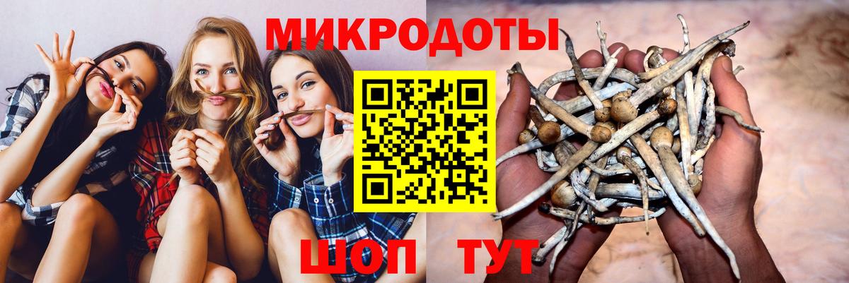 Псилоцибиновые грибы MAGIC MUSHROOMS Димитровград