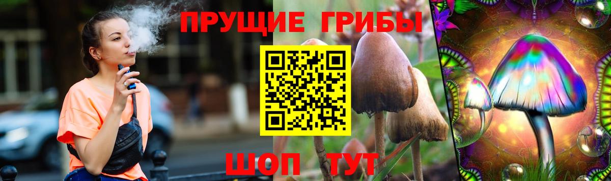 Галлюциногенные грибы Cubensis  Вход с VPN  Димитровград  Псилоцибиновые грибы GOLDEN TEACHER 